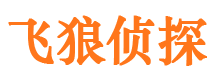 仪陇市调查公司